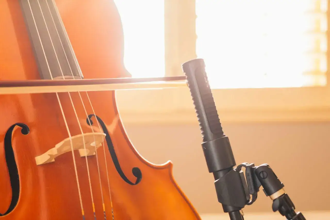Część drewnianego **cello** z łukiem i mikrofonem w słonecznym świetle.