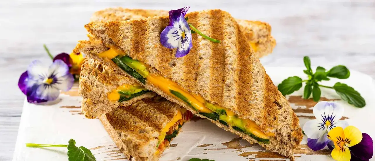 Ein köstliches, gegrilltes Sandwich mit Käse und Avocado, garniert mit essbaren Blüten. Ein einfaches, aber raffiniertes panini rezept.
