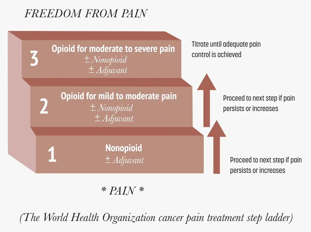 WHO-Stufenschema zur Schmerztherapie: Stufe 1: Nicht-Opioid, Stufe 2: Opioid für leichte bis moderate Schmerzen, Stufe 3: Opioid für moderate bis schwere Schmerzen.