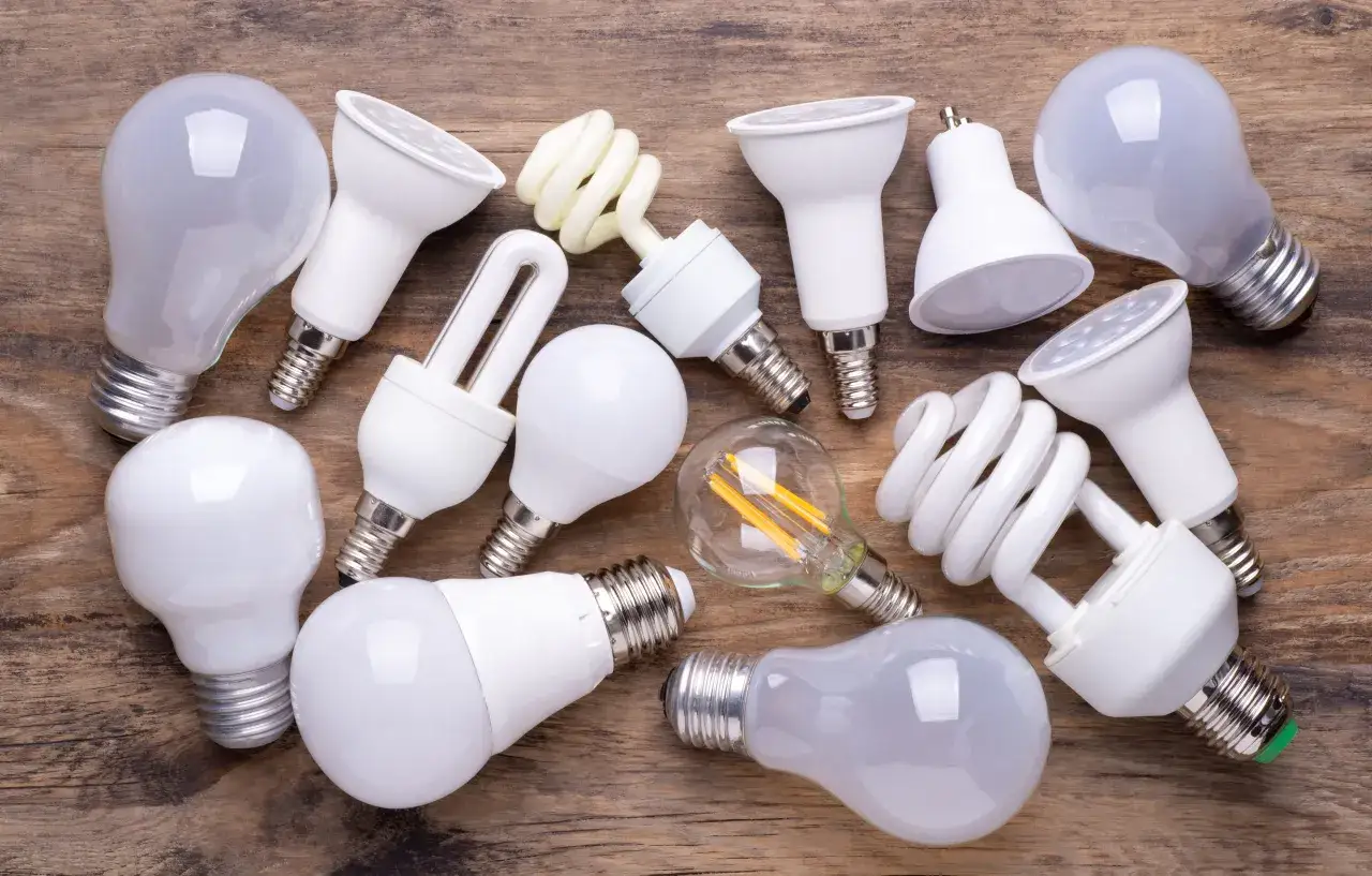 Variedad de bombillas LED y fluorescentes compactas, promoviendo la eficiencia energética en el hogar.