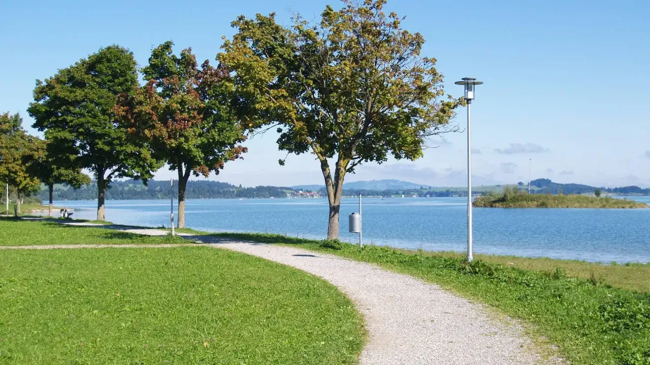 Ein Kiesweg führt am Ufer entlang, Bäume säumen den Weg. Der Blick schweift über den See zum Horizont. Ein schöner Ort für einen Spaziergang auf dem Panoramaweg Füssen.