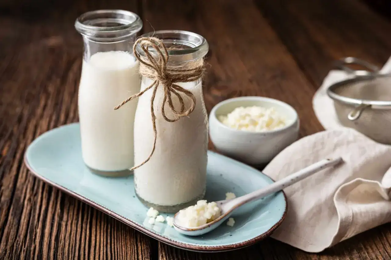 Deux bouteilles de kéfir de lait, une cuillère avec des grains de kéfir, et un bol de grains. Idéal pour savoir quand boire du kéfir.