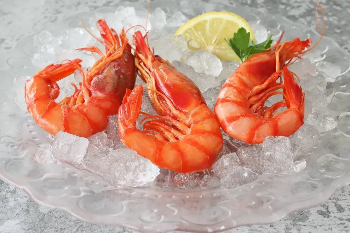Tres gambas cocidas, rojas y jugosas, servidas sobre hielo picado con una rodaja de lim&oacute;n y perejil.