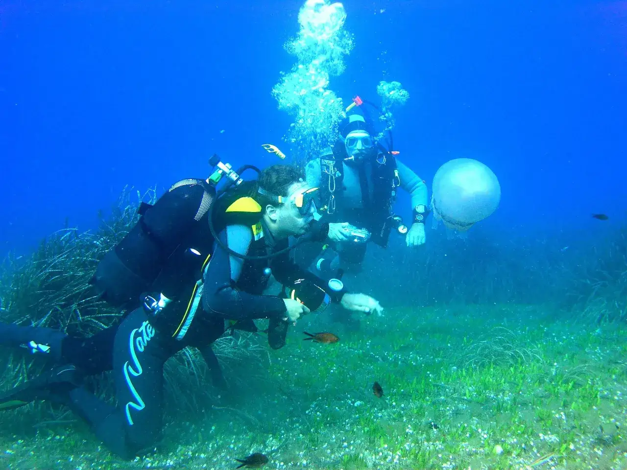 Due subacquei esplorano i fondali marini, un'esperienza di diving a Rimini, con pesci e una medusa che nuotano nelle vicinanze.