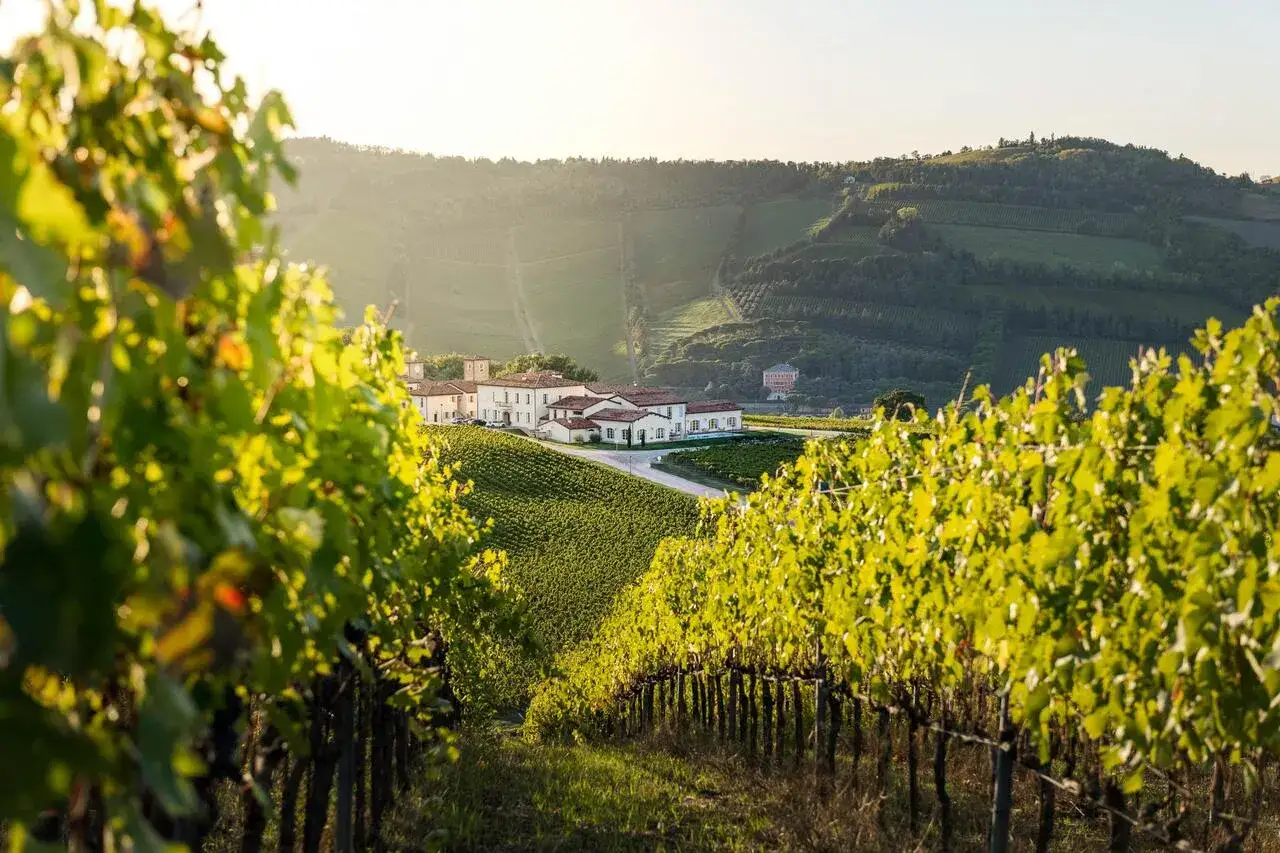 Vigneti rigogliosi incorniciano una tenuta vinicola, luogo ideale dove fare degustazione vini al tramonto.