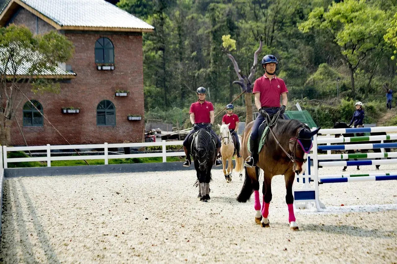Des cavaliers en tenue rouge s'exercent au confiage cheval dans une carrière. Un cheval noir et un bai sont au premier plan.