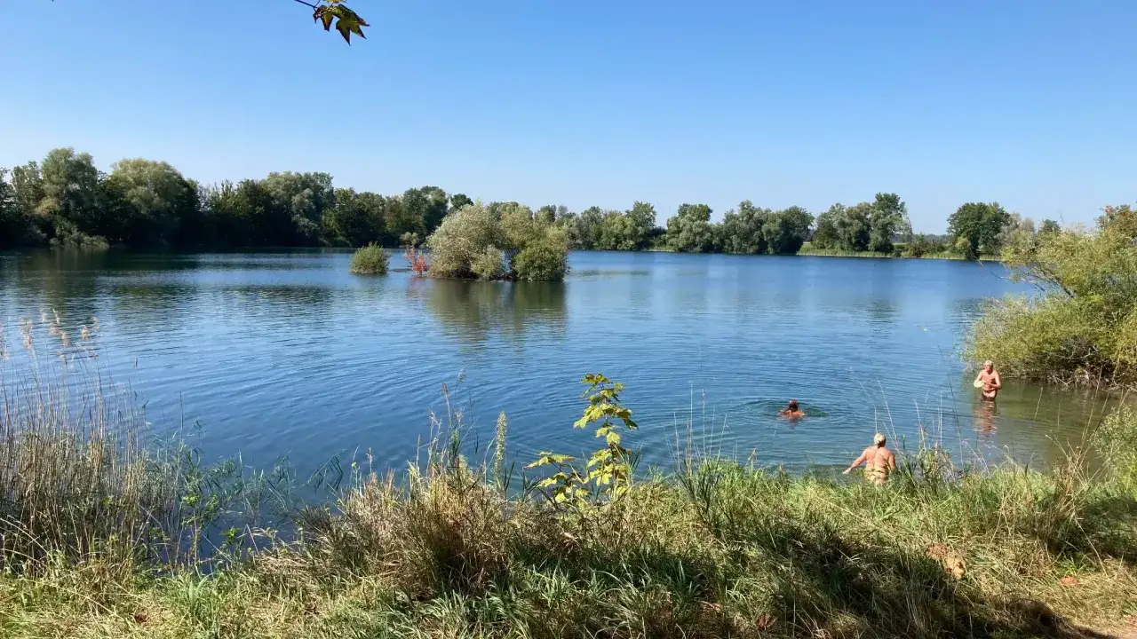 Sonniger Tag am Biebesheim See. Menschen genie&szlig;en das k&uuml;hle Wasser, umgeben von &uuml;ppiger Vegetation und klarem Himmel.