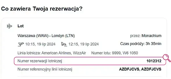 Wizz Air odprawa online strona główna