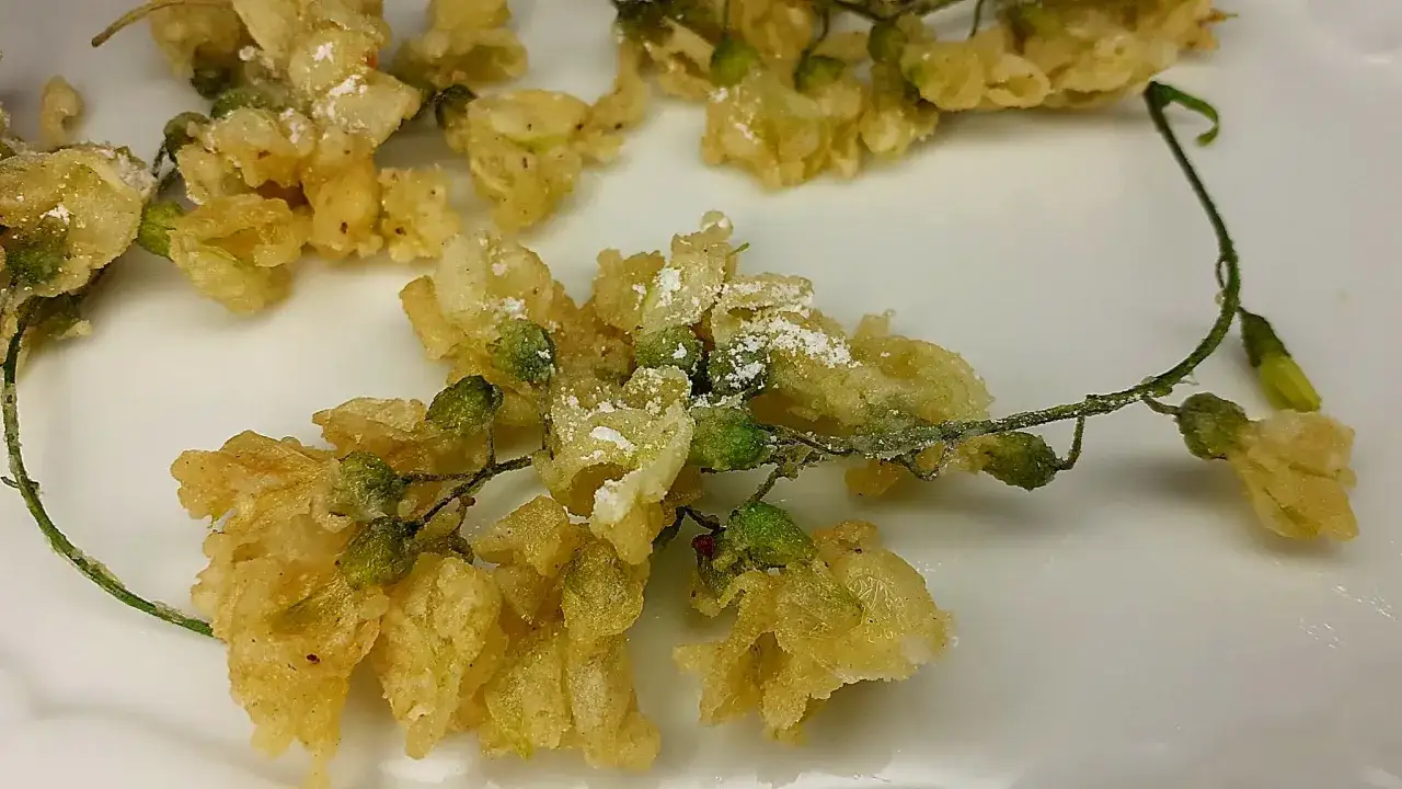 Fiori di acacia fritti, dorati e croccanti, cosparsi di zucchero a velo. Un'antica ricetta che celebra la primavera.