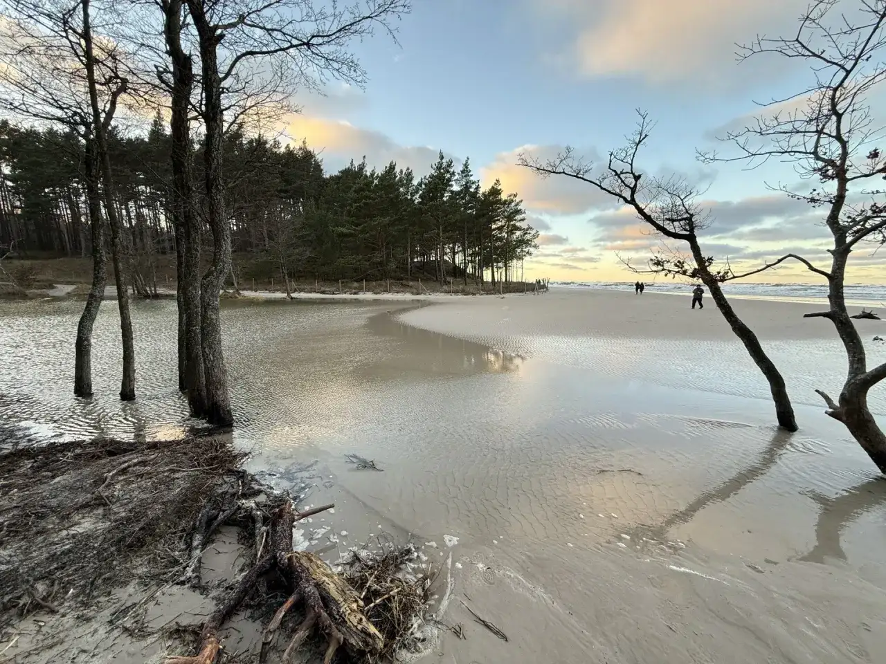 Plaża z zalanym piaskiem, drzewa w wodzie i las w tle. Widać ślady cofki, która pozostawiła wodę na piasku.