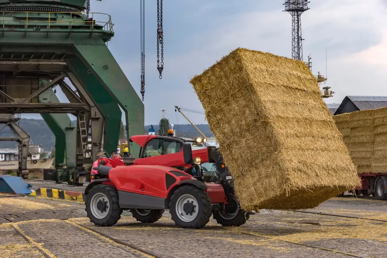 Czerwony ładowacz teleskopowy z uprawnieniami na manitou podnosi wielką kostkę słomy w porcie.