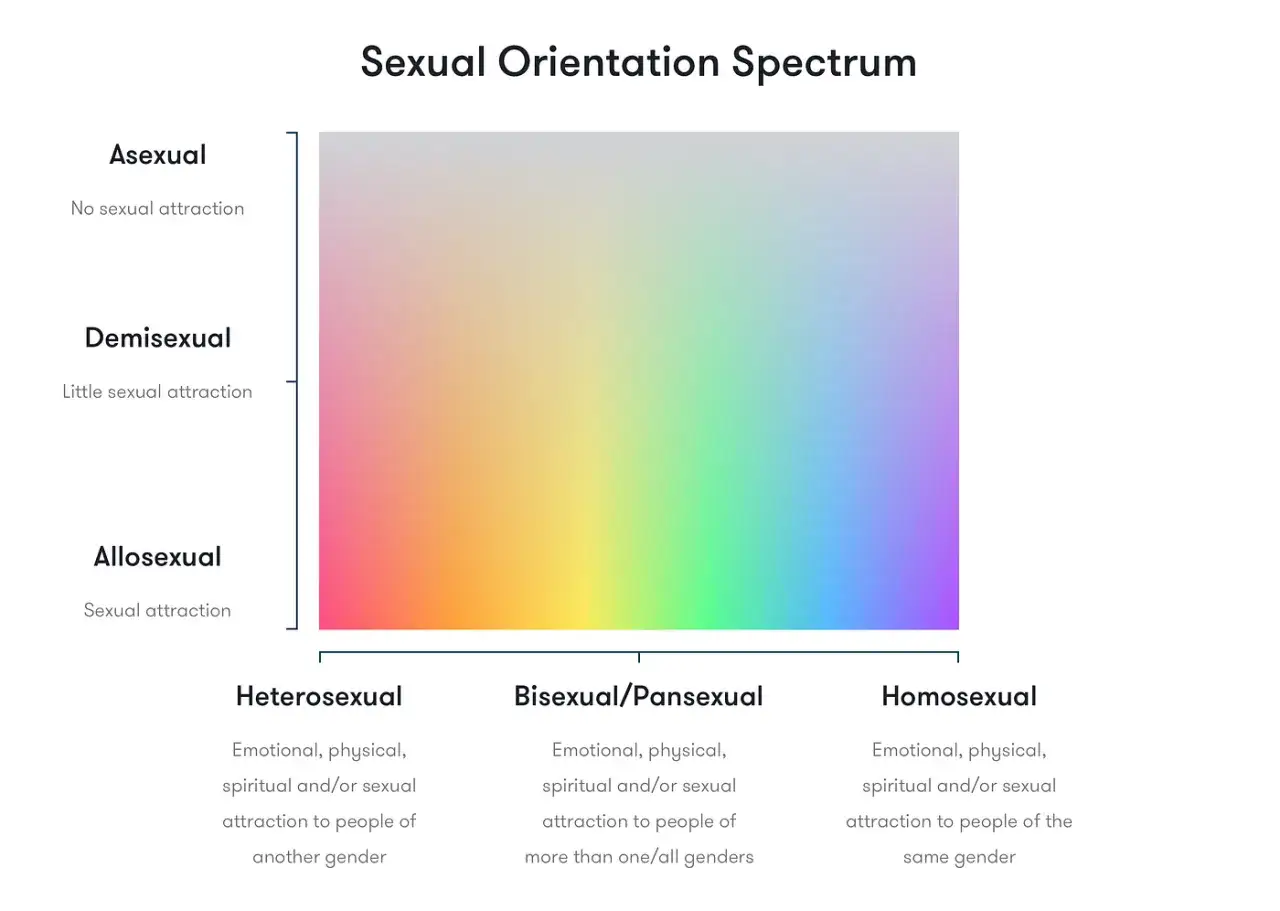 Spektrum orientacji seksualnej: homoseksualizm to pociąg do os&oacute;b tej samej płci. Wykres pokazuje też aseksualność, demiseksualność, alloseksualność, heteroseksualność i biseksualność.