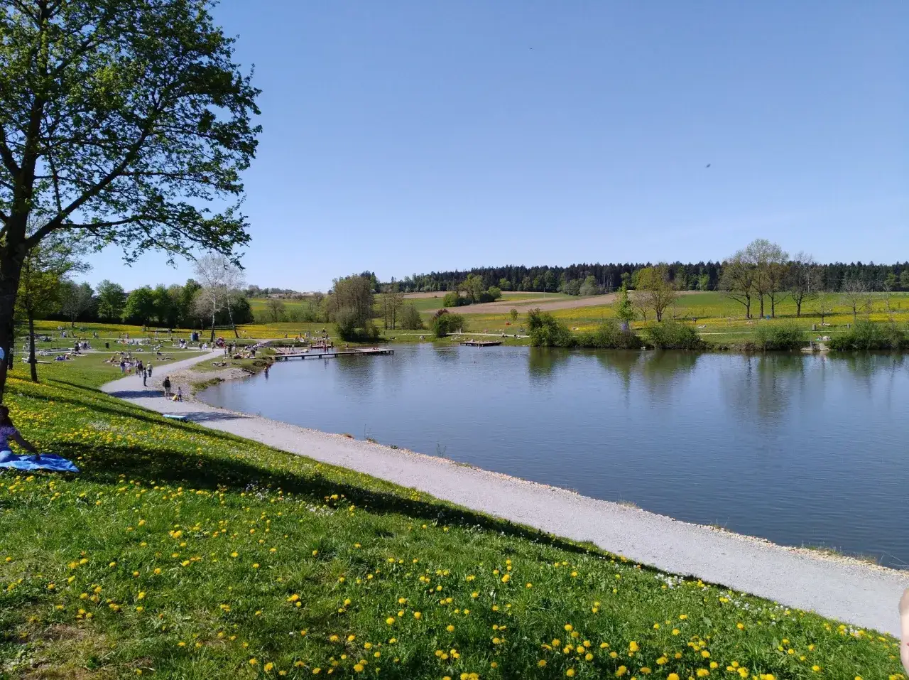 Ein sonniger Tag am See, mit Menschen, die sich auf den Wiesen und am Wasser entspannen. Der welzheimer wald im Hintergrund bildet eine grüne Kulisse.