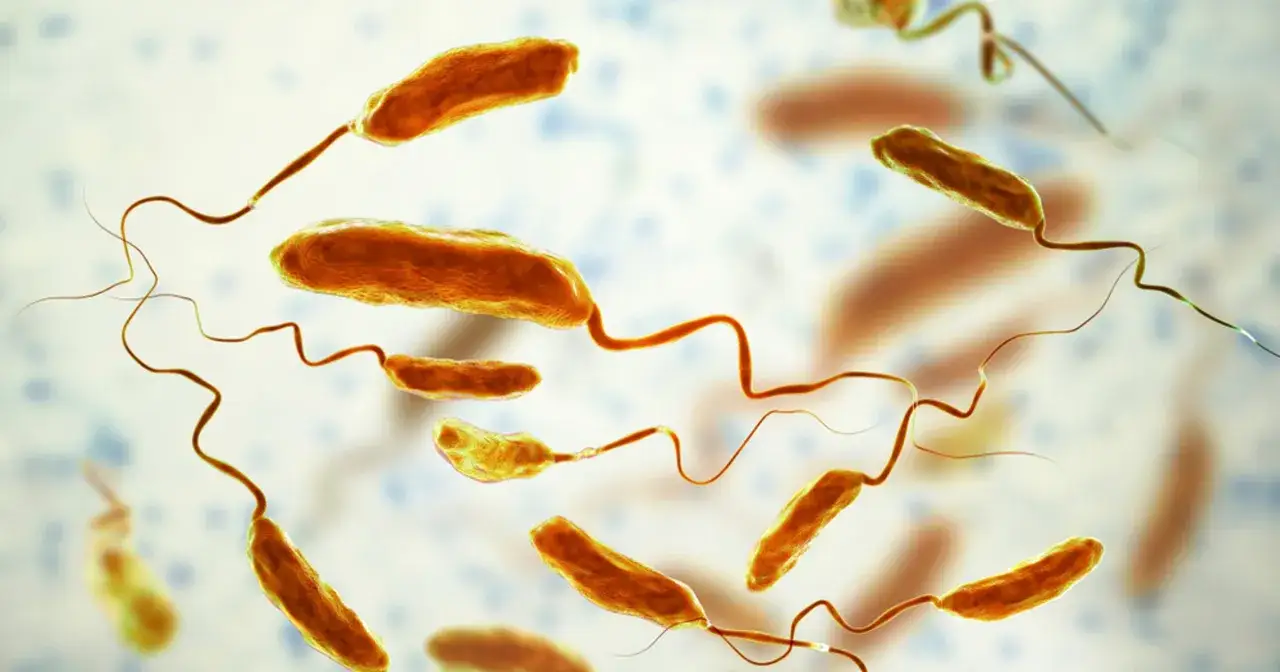 Bakterie Vibrio cholerae, które powodują cholerę, poruszają się za pomocą wici.