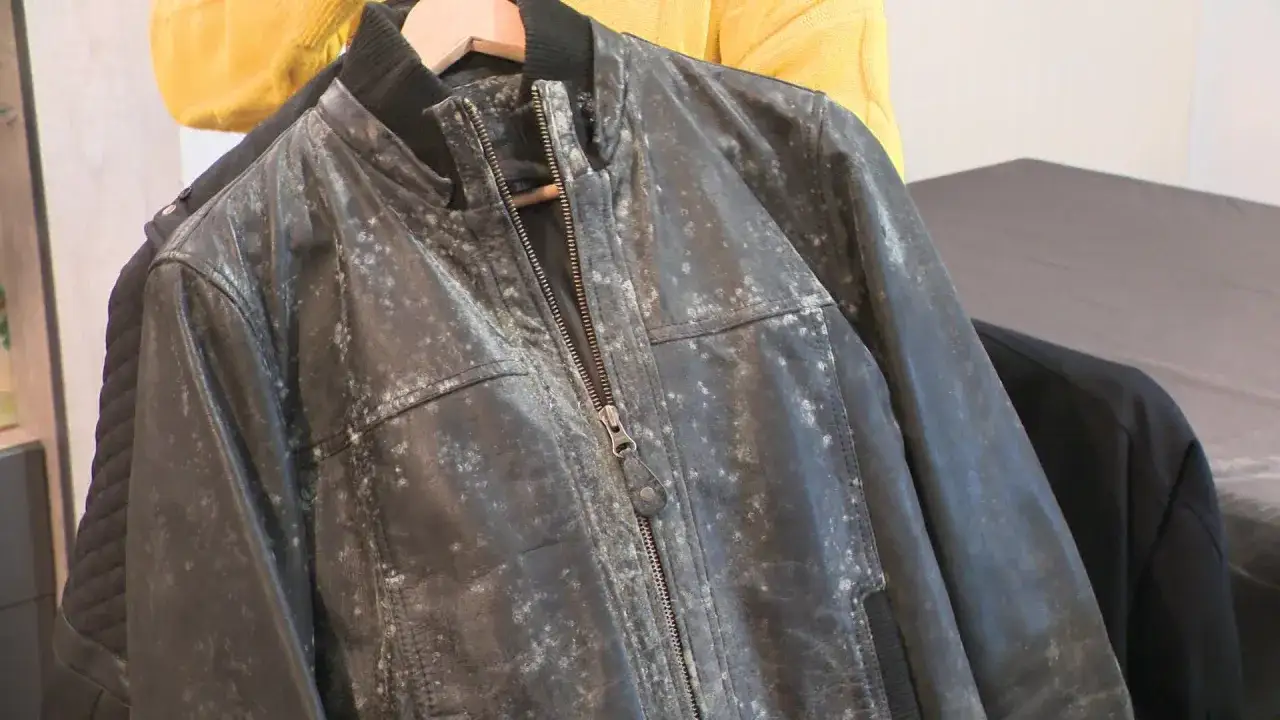 Veste en cuir noir recouverte de moisissure blanche. Un danger pour le cuir, &agrave; ne pas porter.