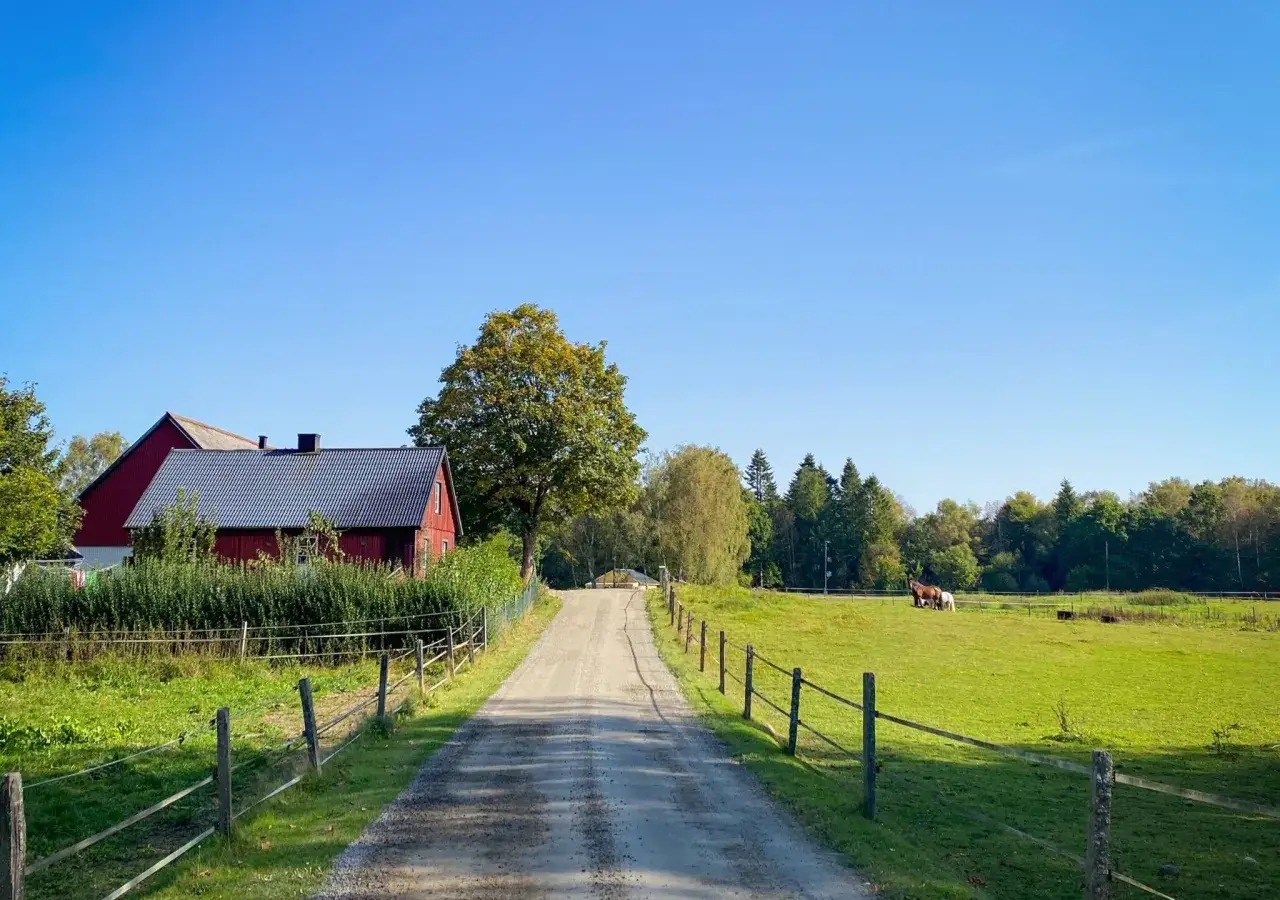 En grusväg leder förbi röda hus och gröna fält med hästar. Perfekt för att utforska cykelleder Sverige.