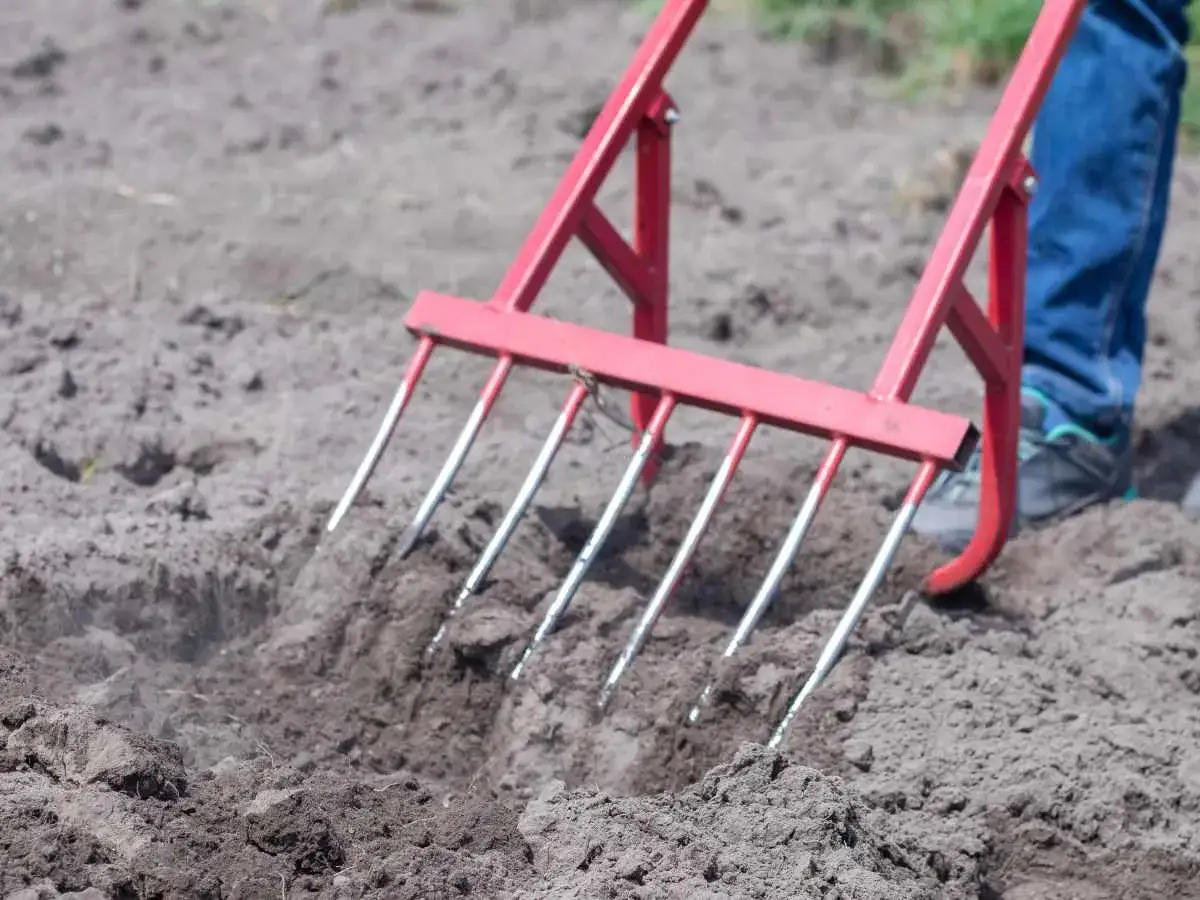Un jardinier utilise une fourche pour aérer la terre, une étape clé pour la permaculture pour les nuls.