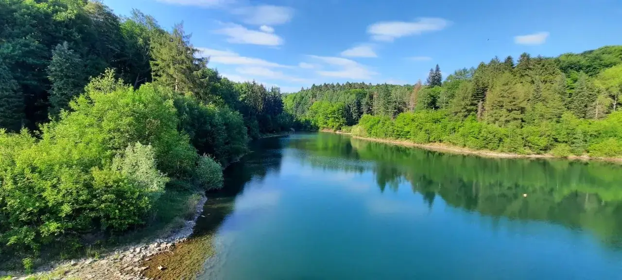 Ein ruhiger See umgeben von &uuml;ppigen W&auml;ldern, ideal f&uuml;r leichte Wanderwege in Wuppertal. Die Spiegelung der B&auml;ume im Wasser ist atemberaubend.