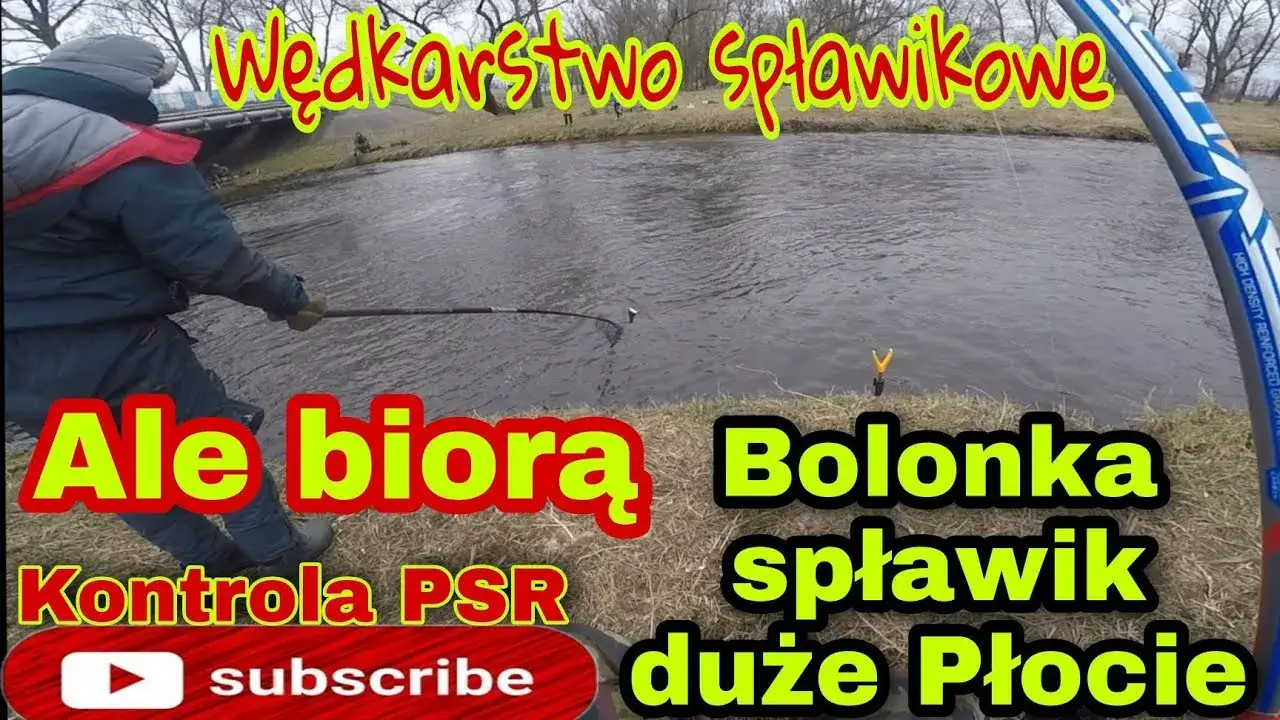 czytanie wody wędkarstwo spławikowe