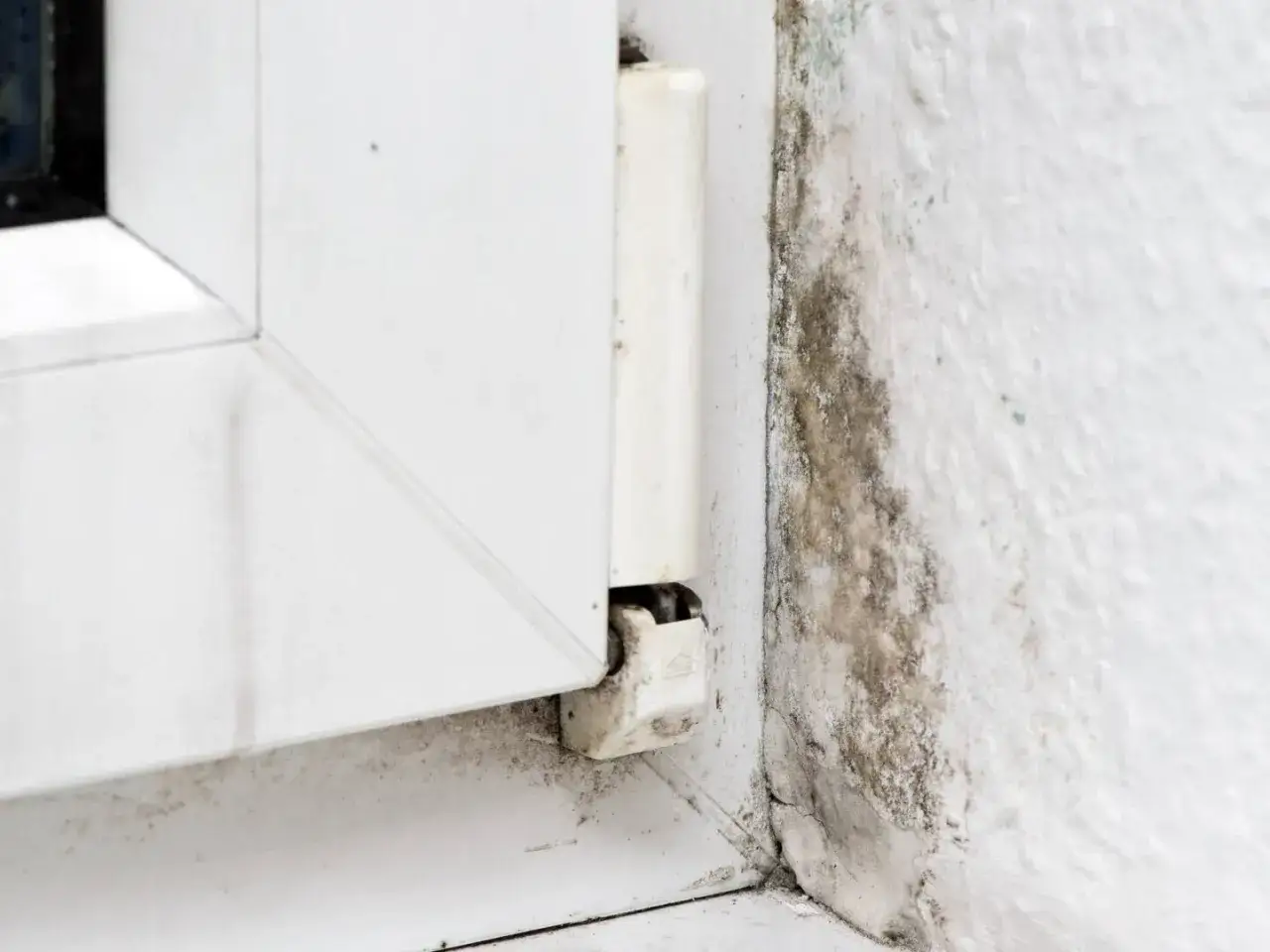 Schimmelbildung an einer wei&szlig;en Fensterlaibung, ein deutliches Zeichen f&uuml;r **Wohnraumfeuchtigkeit**.