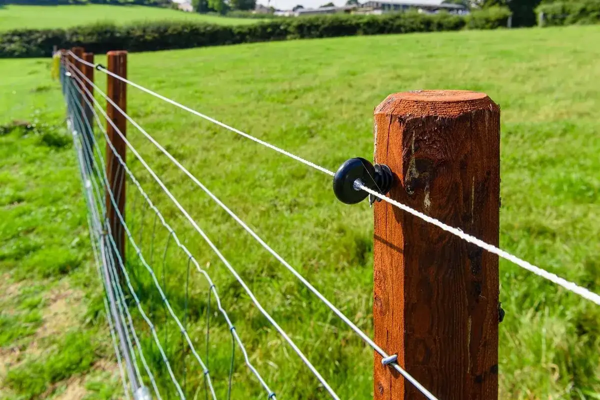 prawidłowy montaż uziemienia pastucha elektrycznego