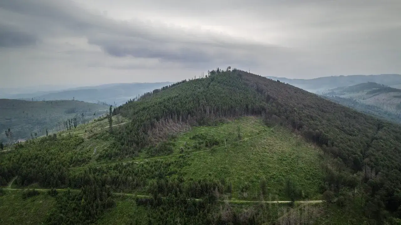 Widok z lotu ptaka na górzysty teren z lasem i wieżą widokową na szczycie. Widać ślady wycinki drzew i ścieżki tworzące gss szlak.