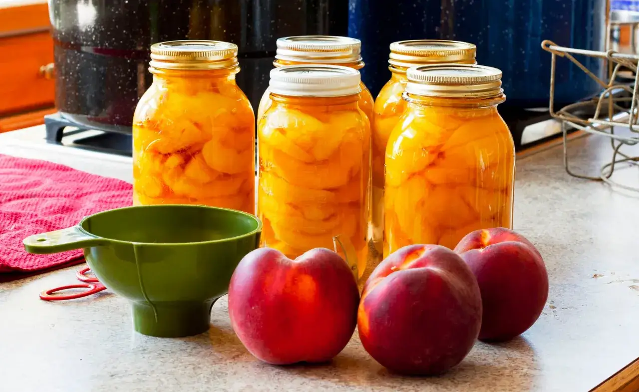 Frische Pfirsiche werden f&uuml;r das Einkochen vorbereitet. Gl&auml;ser mit eingelegten Pfirsichen stehen bereit, daneben frische Fr&uuml;chte, ein gr&uuml;ner Trichter und rote Einmachringe.