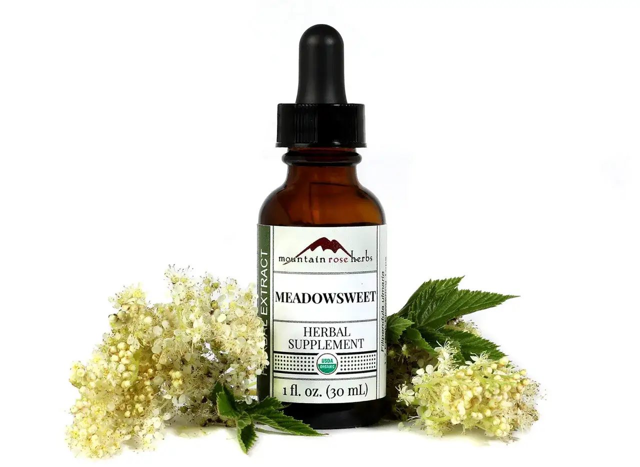 Extracto de reina de los prados, un suplemento herbal en frasco &aacute;mbar con cuentagotas, rodeado de sus delicadas flores blancas.
