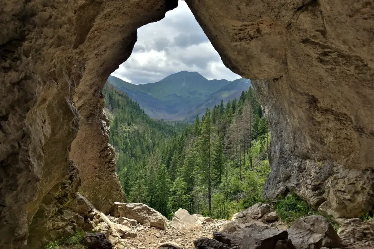 Widok z jaskini na gęsty las i góry. To okno Pawlikowskiego, przez które widać Tatry.