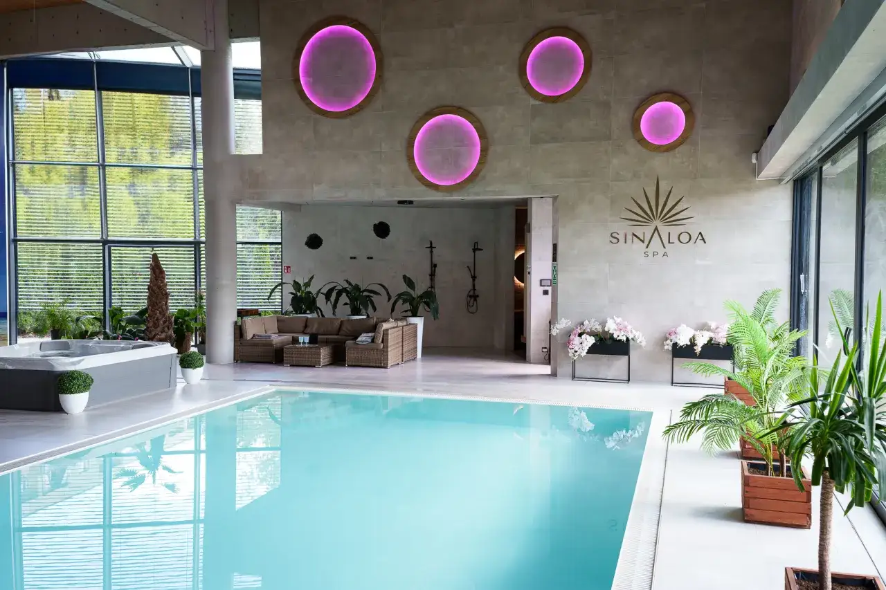Nowoczesny spa na Śląsku z basenem, jacuzzi i strefą relaksu. Wnętrze rozświetlają okrągłe lampy i zieleń roślin.