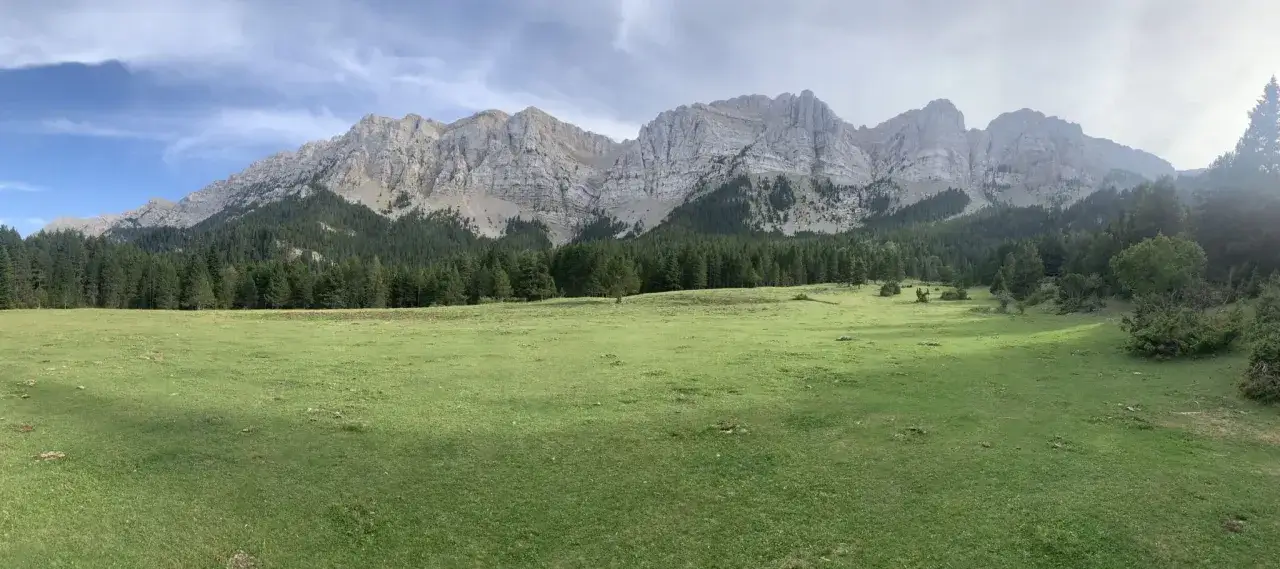Prado verde y bosque de pinos bajo imponentes montañas rocosas. Un día perfecto para la ruta Prat del Cadi.
