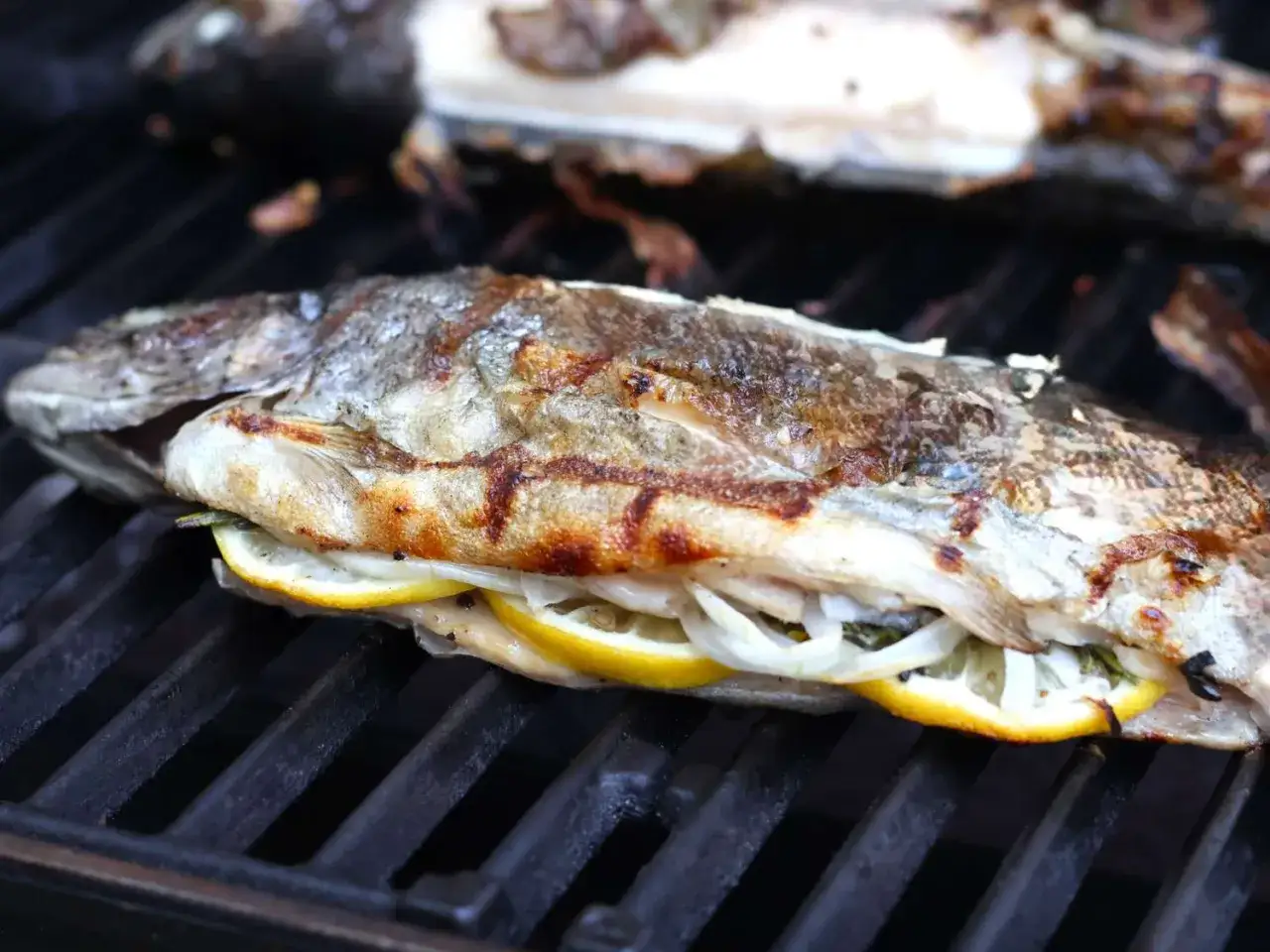 Lachsforelle grillen auf dem Gasgrill. Die richtige Temperatur sorgt f&uuml;r perfekte Grillstreifen und saftiges Fleisch.