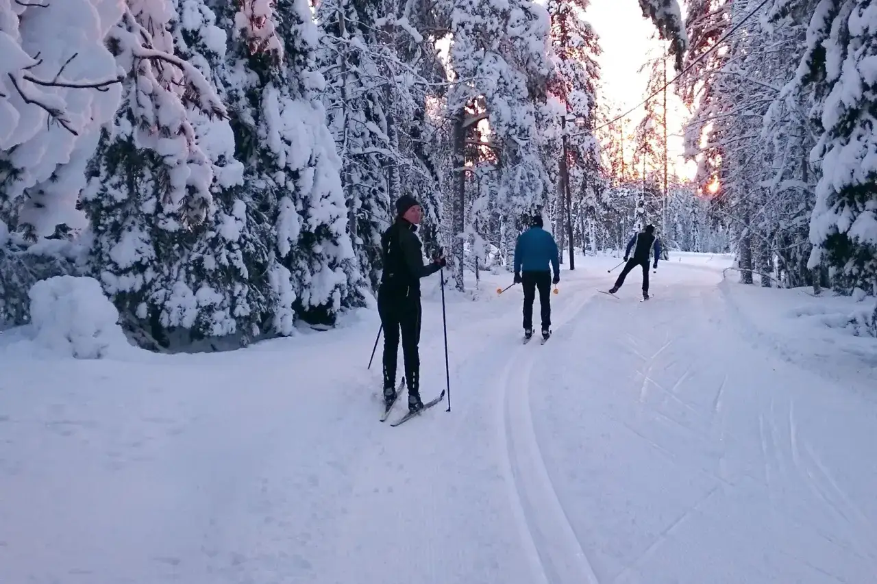 Skid&aring;kning i Lule&aring; genom sn&ouml;t&auml;ckta skogar. Tre personer &aring;ker l&auml;ngdskidor i solnedg&aring;ngen.