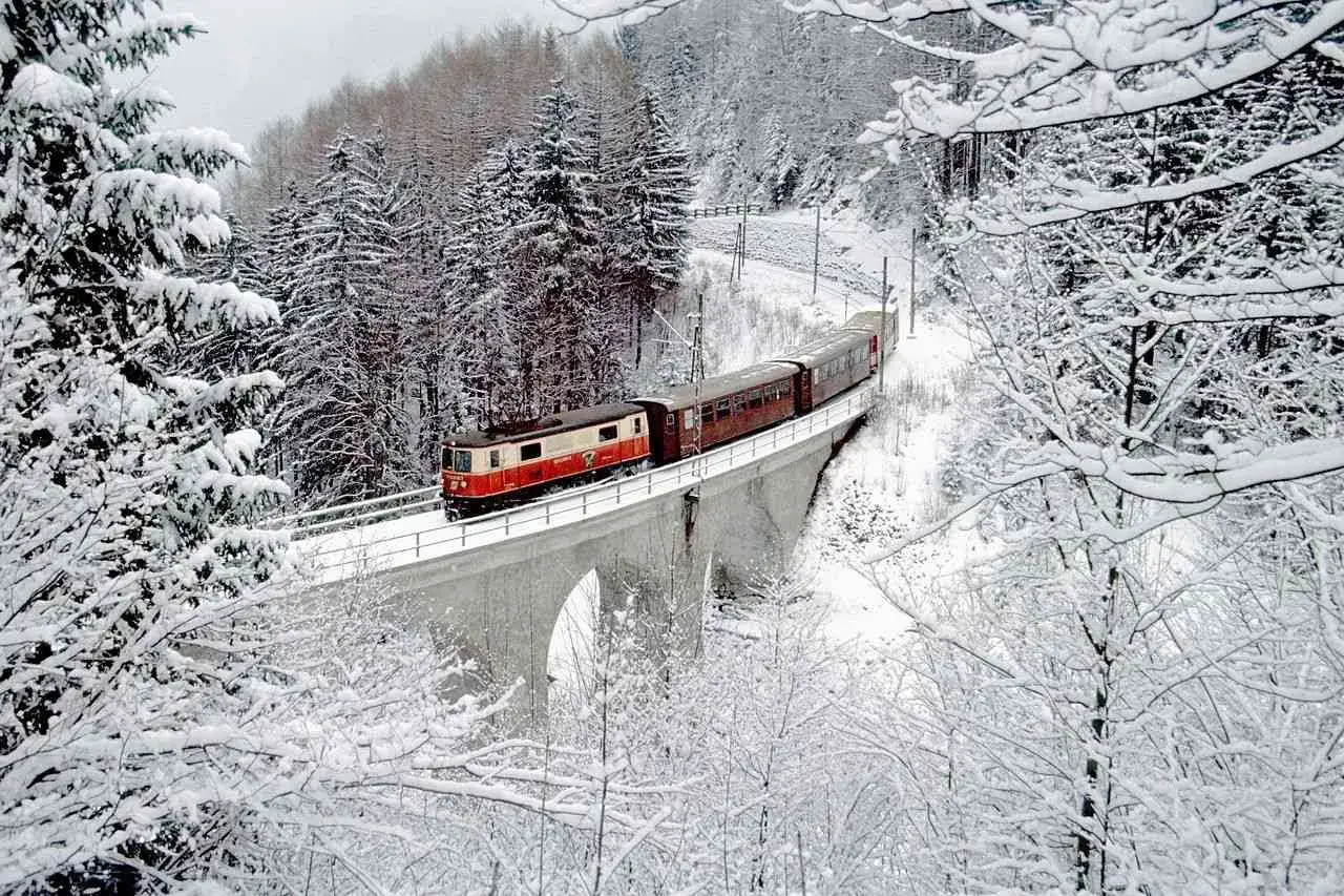 Roter Zug der slowakischen Bahn fährt über eine verschneite Brücke im Winterwald.