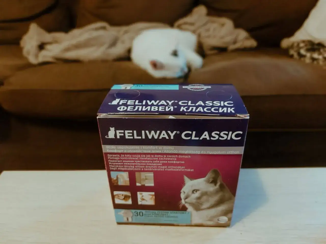Kot sam w domu przez 2 tygodnie. Pudełko Feliway Classic, kt&oacute;re ma pom&oacute;c kotu czuć się spokojniej.