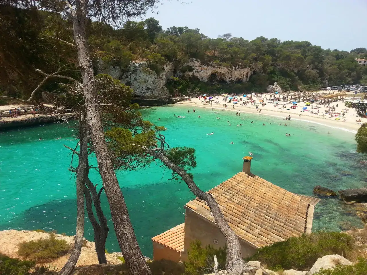 Malownicza zatoka z turkusową wodą i piaszczystą plażą, idealne miejsce, by zastanowić się, gdzie najlepiej nocować na Majorce.