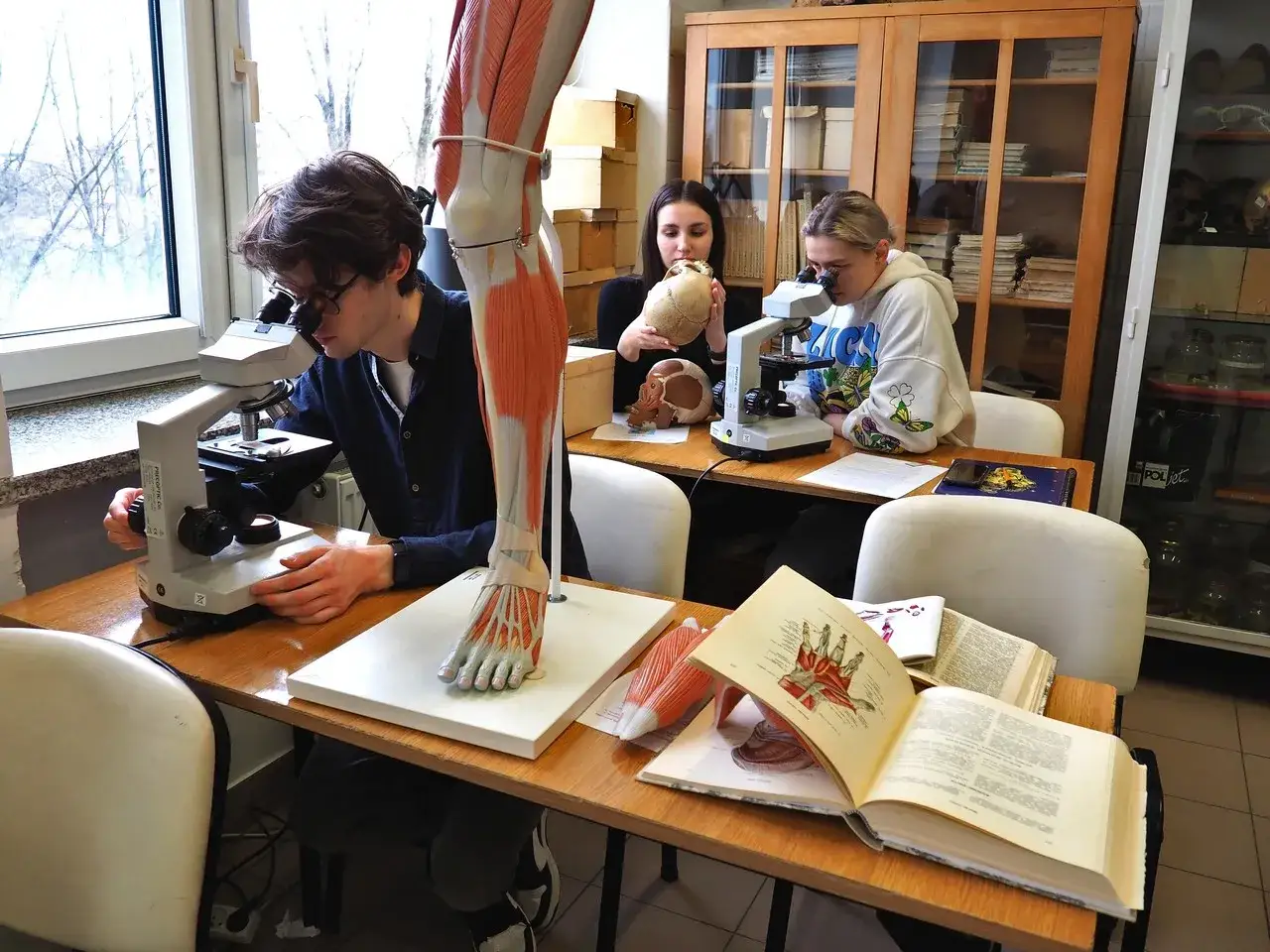Studenci biologia medyczna zgłębiają tajniki anatomii przy mikroskopach i modelach.