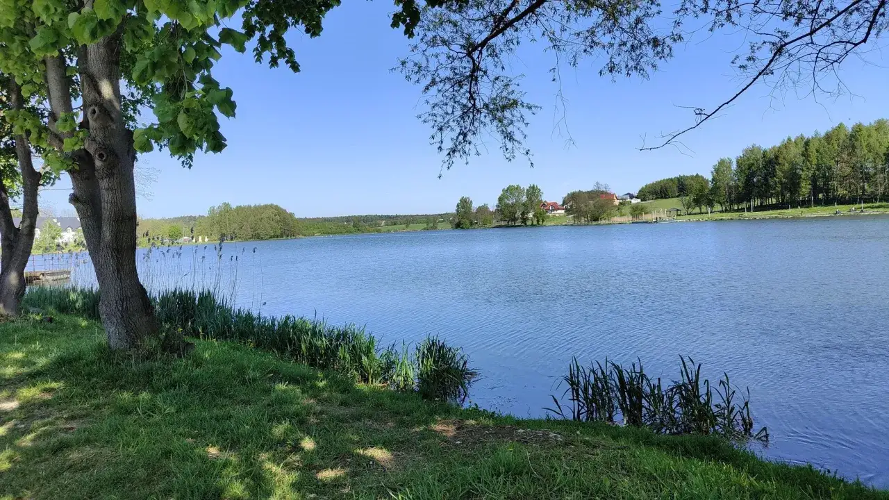 Spokojny zalew Wolbromski otoczony zielenią. Woda lśni w słońcu, a na brzegu rośnie trawa i trzciny.