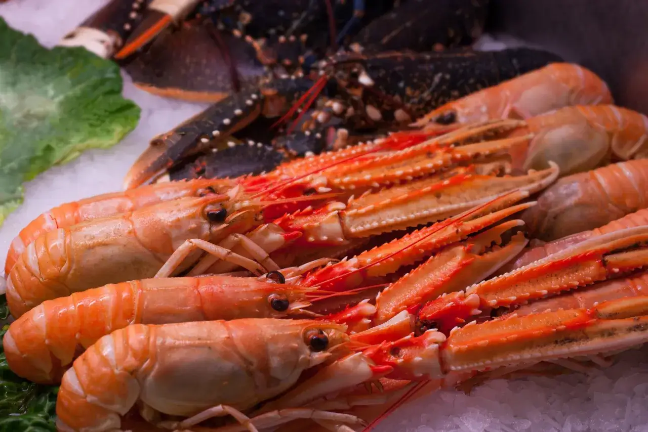 Una fila de camarones y langostas frescas sobre hielo, listos para ser preparados como un delicioso marisco.