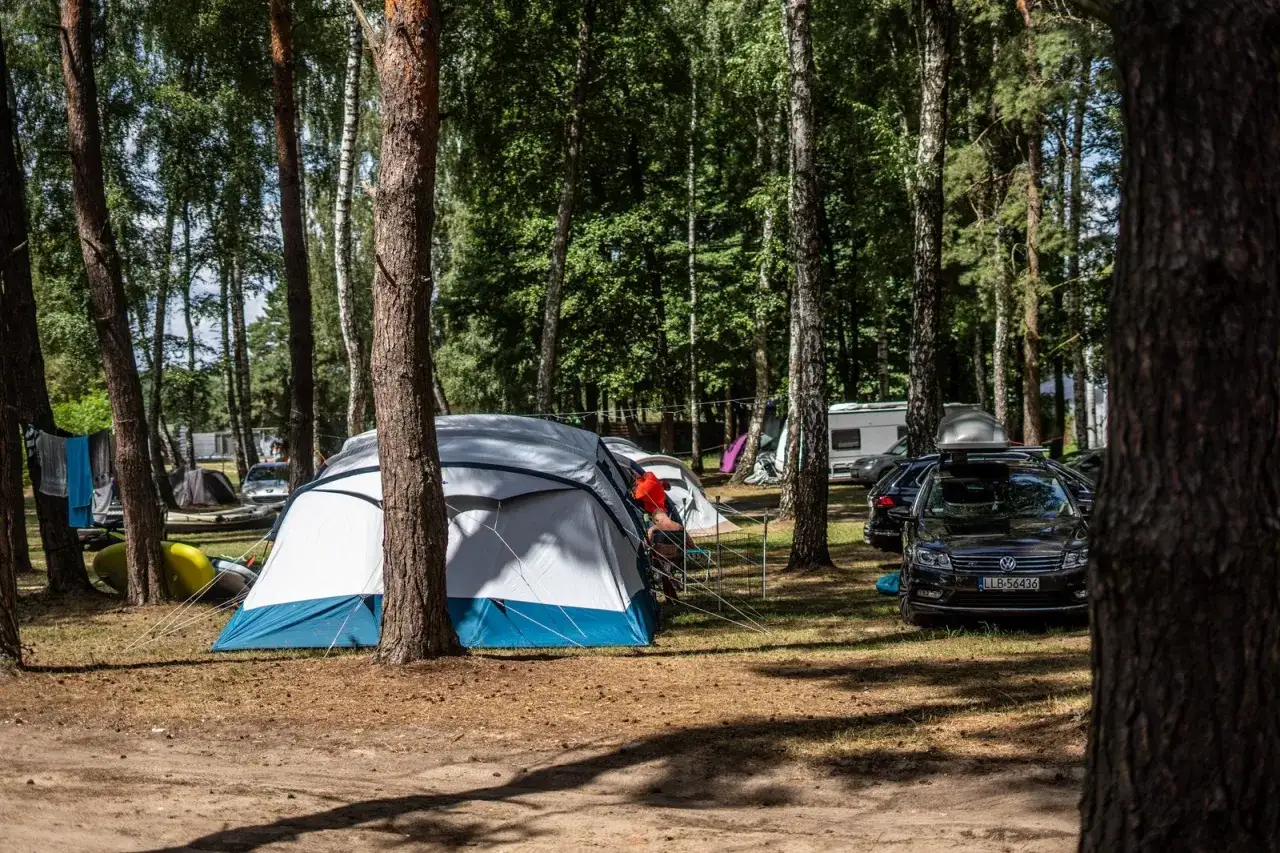 Na zagłębionym polu namiotowym w lesie rozstawiono namioty, zaparkowano samochody i kampera.