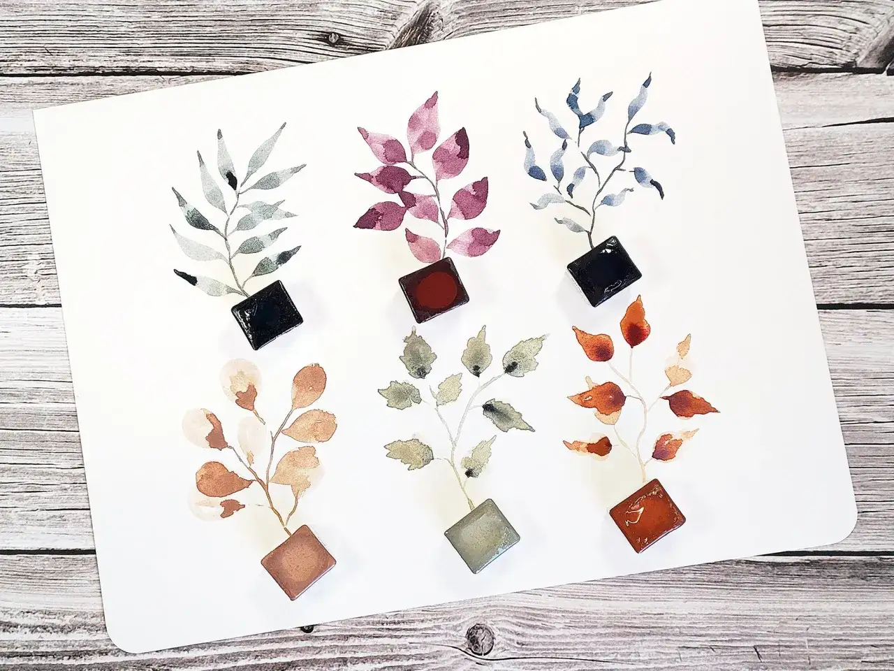 Six aquarelle feuilles aux teintes vari&eacute;es, pos&eacute;es sur un fond de bois. Chaque branche est accompagn&eacute;e d'un cube de couleur.