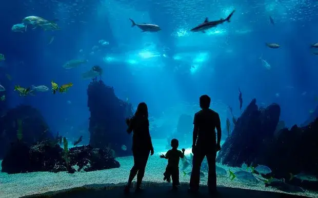 Największe oceanaria w Polsce porównanie