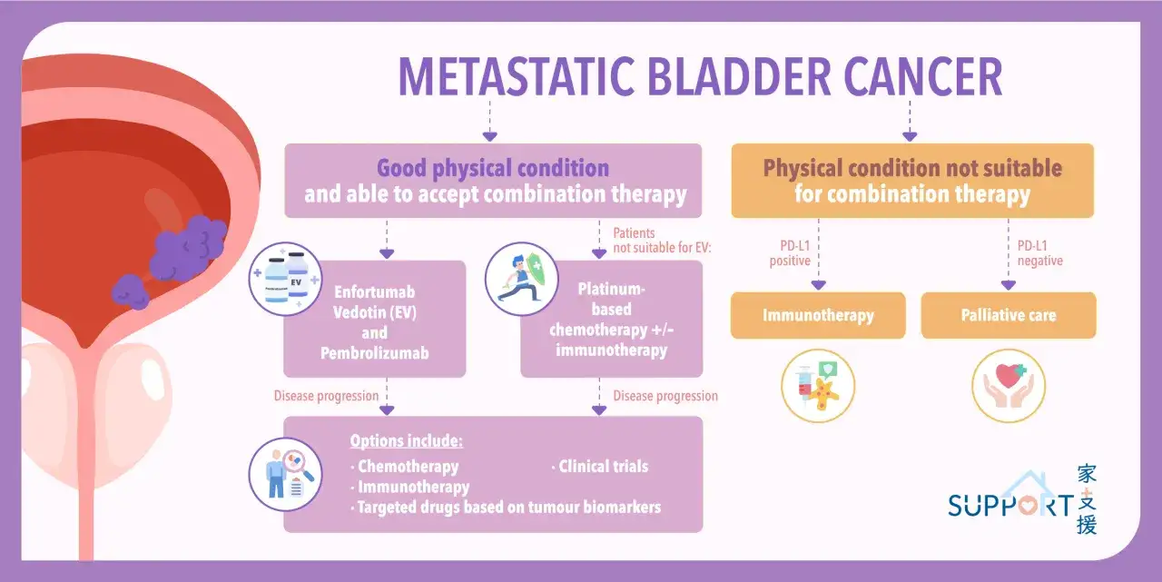 Übersicht über neue Behandlungsmethoden bei Blasenkrebs: Therapieoptionen je nach körperlicher Verfassung und PD-L1-Status.