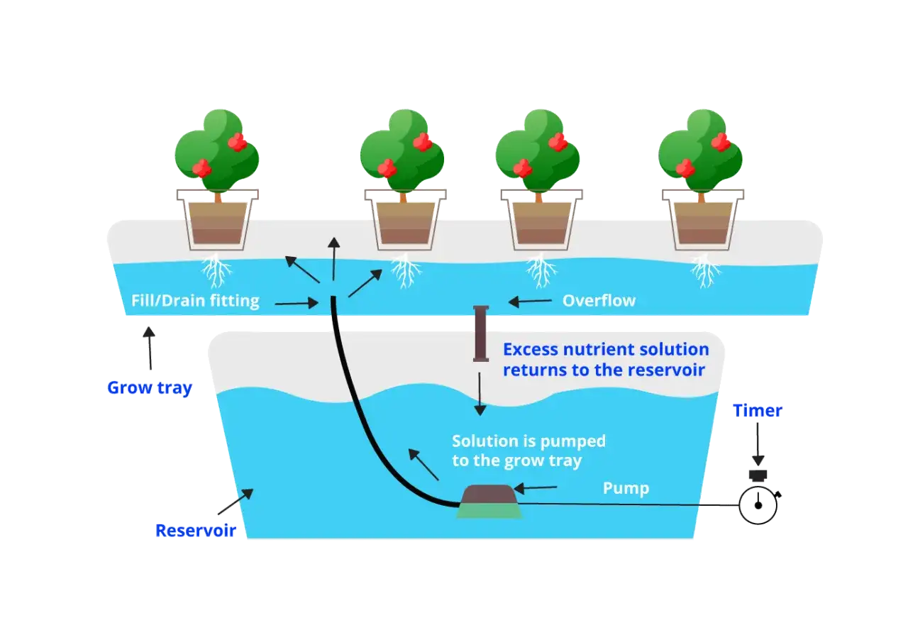 Schéma d'un système hydroponique montrant la circulation de la solution nutritive. Les plantes poussent dans un bac, alimenté par une pompe depuis un réservoir. L'excès de solution retourne au réservoir.