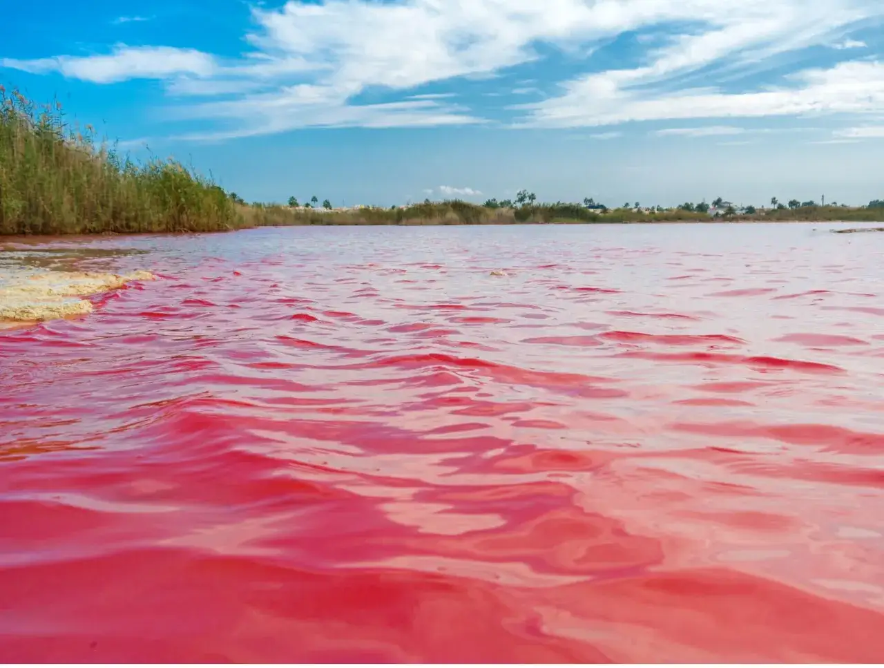 El **parque natural de las lagunas de la Mata y Torrevieja** muestra sus aguas rosadas bajo un cielo azul con nubes.