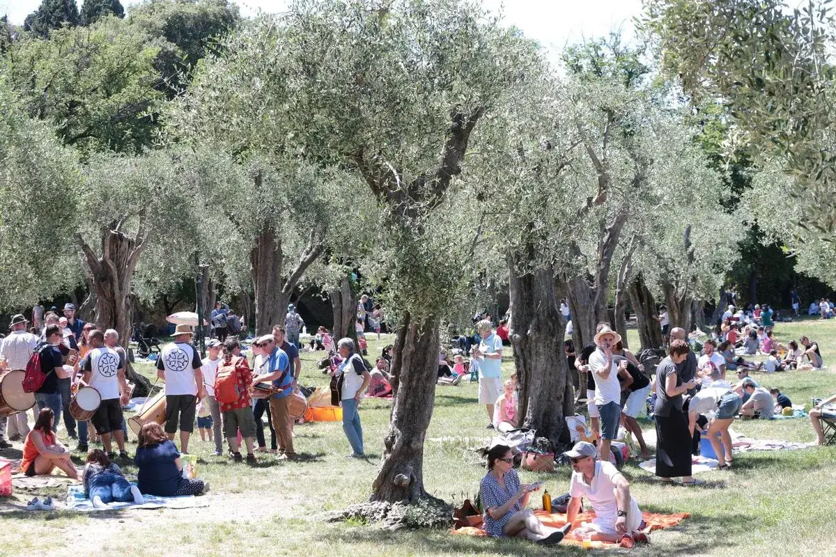 Fête en plein air sous les oliviers, musiciens et pique-niqueurs profitent du 1er mai.