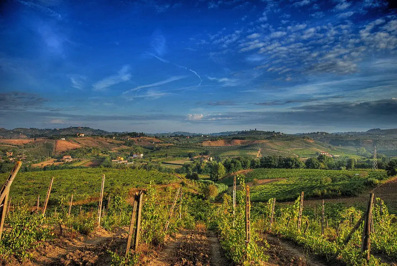 Sanfte Hügel mit Weinbergen, typisch für den Lombardei Wein. Ein blauer Himmel mit Wolken spannt sich über die Landschaft.