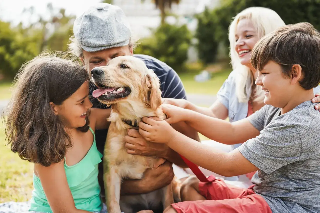 Familia feliz acariciando a un adorable golden retriever en un día soleado.