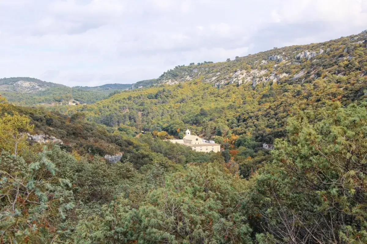 Vue d'une abbaye nichée dans une vallée verdoyante, parfaite pour une randonnée à Gordes. Les collines environnantes sont couvertes d'arbres aux couleurs d'automne.