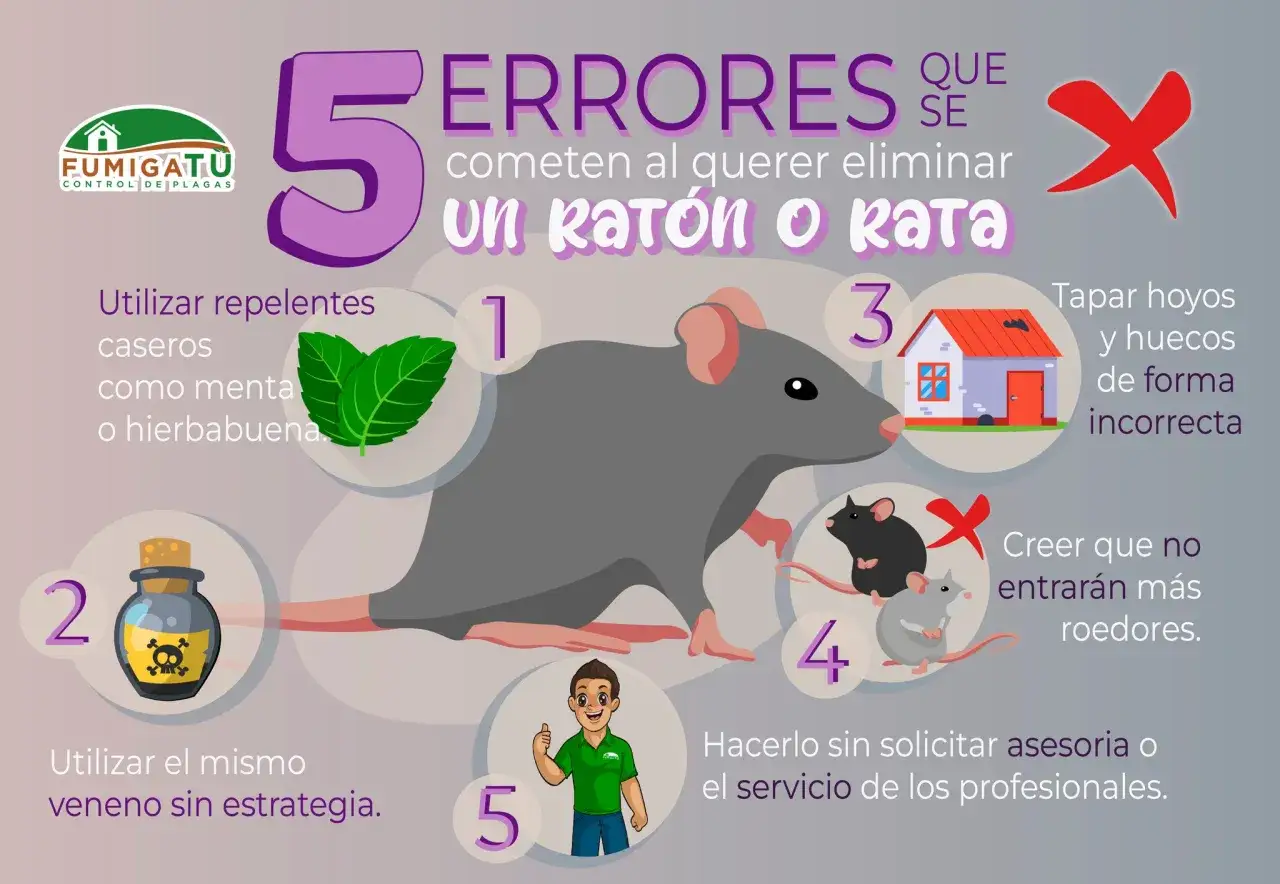 Cinco errores comunes al eliminar ratones dom&eacute;sticos: usar repelentes caseros, veneno sin estrategia, tapar huecos mal, creer que no volver&aacute;n, y no pedir ayuda profesional.